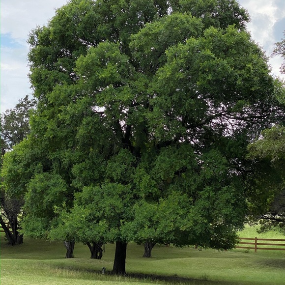 Meet your Posher, Ann - Picture 11 of 15